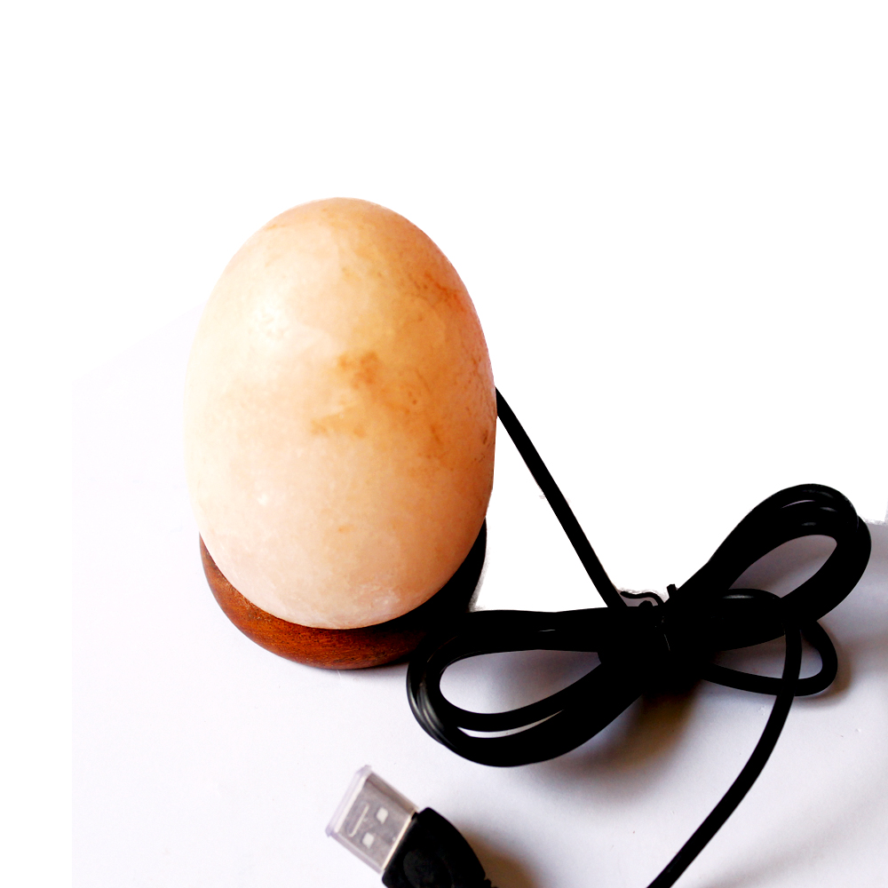 usb-egg